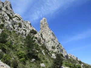 IMG_6364 (Medium)